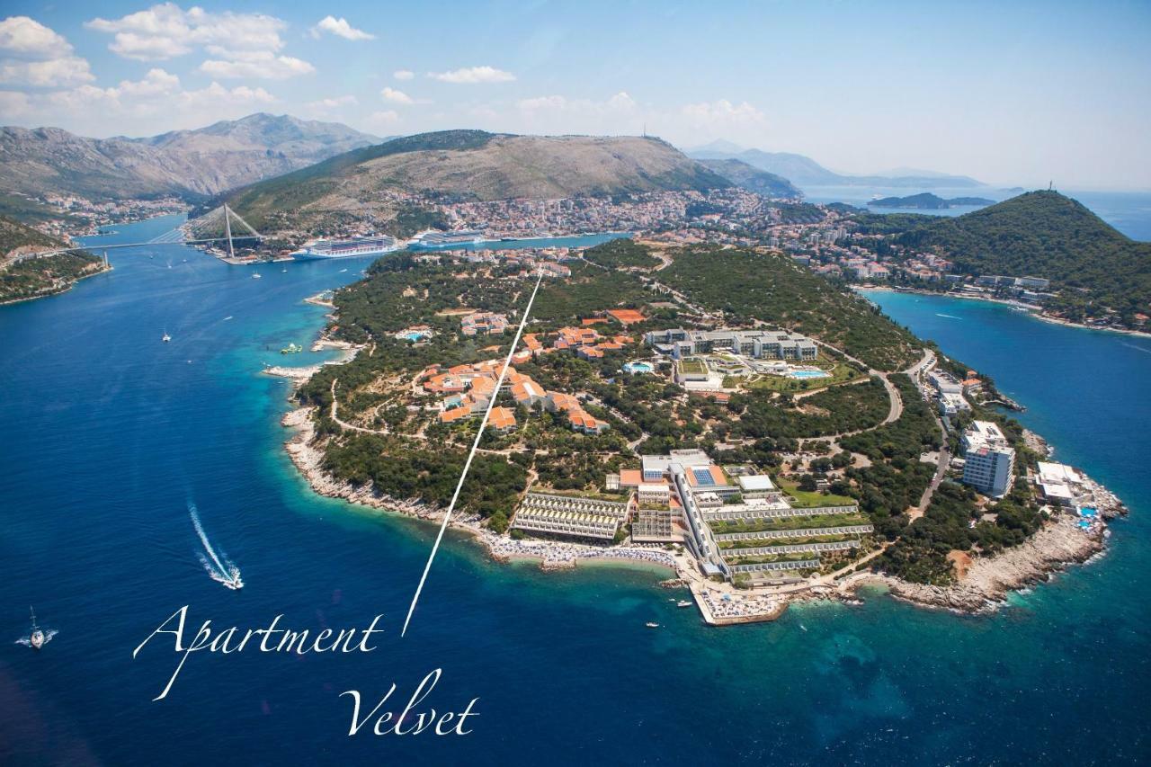Velvet Ragusa